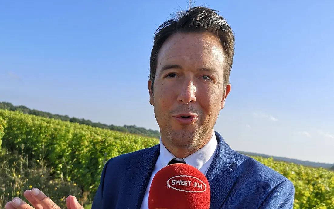 Guillaume Peltier, député de Loir-et-Cher